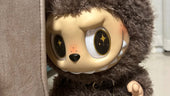 What's So Special about Labubu?