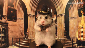 Needle Felting Tutorial For Beginners | How to Make Needle Felted Hamster Harry Potter | Needle Felting ASMR