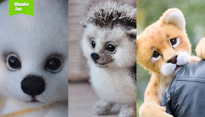 [2016.10.9] Wonder Zoo | Needle Felted Wool Animals Projects Inspiration & Ideas