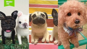 [2016.8.28] Wonder Zoo | Needle Felted Wool Animals Projects Inspiration & Ideas