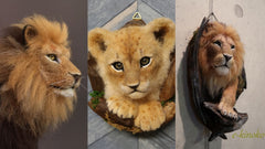 Roaring Majesty: 20 Cute Needle Felted Lions from @e_kinoko for Regal Needle Felting Inspiration